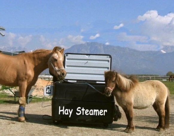 Haysteamer