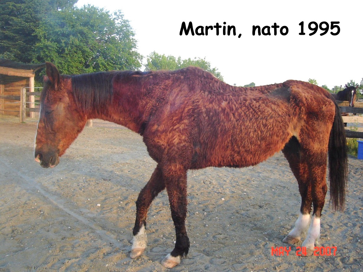 Martin first